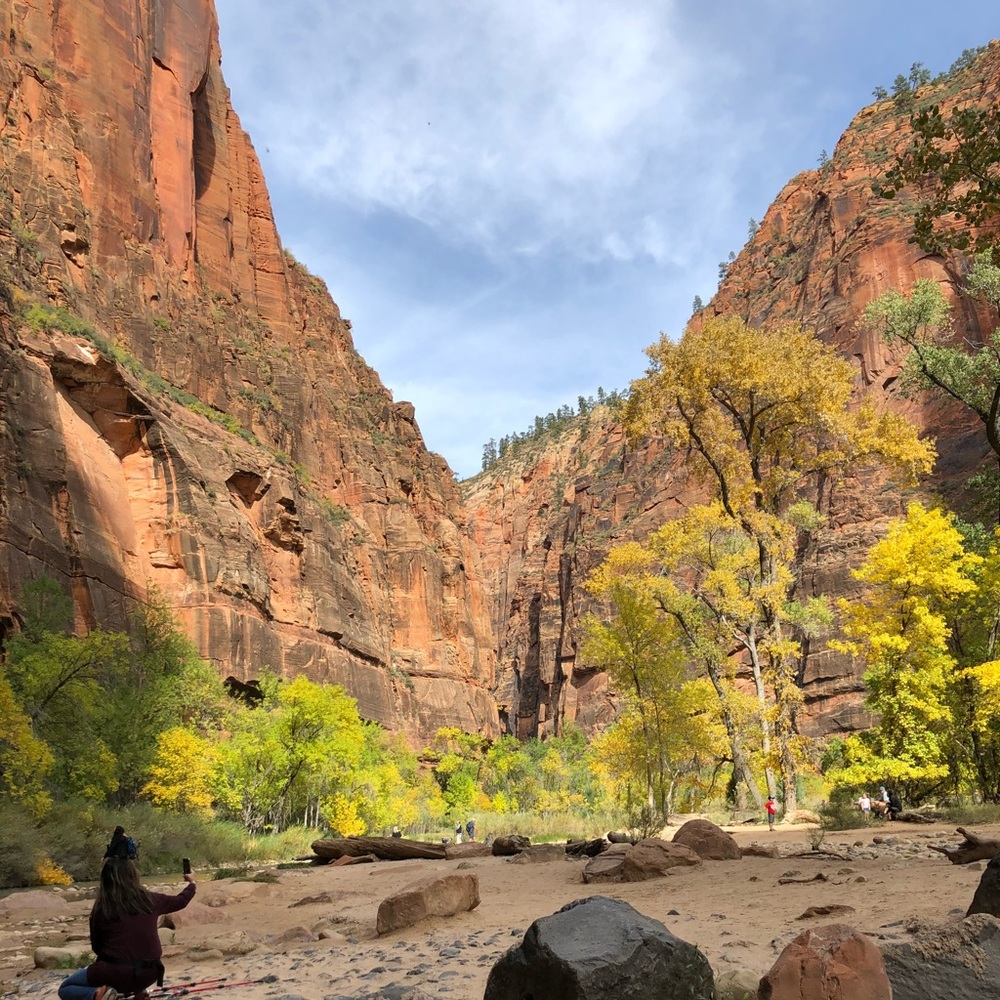 Meet your Posher, Tamara